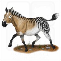 Hagerman Horse illustration