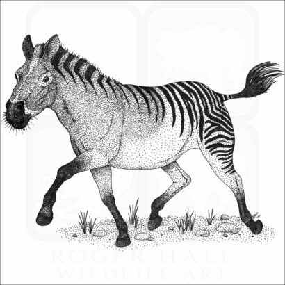 Hagerman Horse