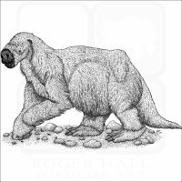 Jefferson's Ground Sloth