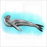 Leopard Seal illustration