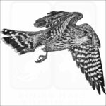 Merlin