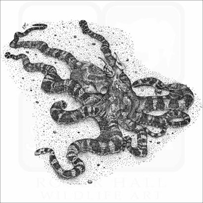 Mimic Octopus