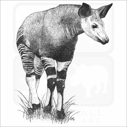Okapi