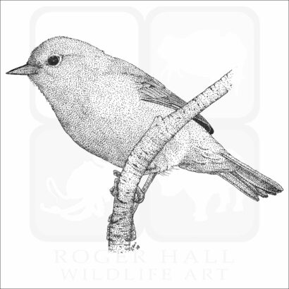 Orange-Crowned Warbler