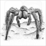 Chilean Rose Tarantula