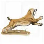Saber-Tooth Cat or Saber-Tooth Tiger illustration