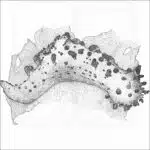 Sea Clown Triopha illustration