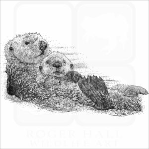 Southern Sea Otter