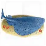 Pacific Electric or Torpedo Ray illustration