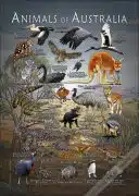 Animals of Australia poster