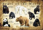 Bears of the World