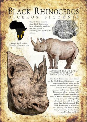 Black Rhinoceros poster