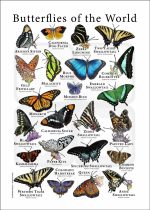 Butterflies of the World