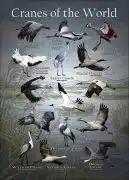 Cranes of the World poster