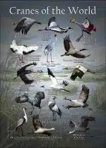 Cranes of the World poster