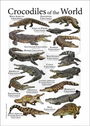Crocodiles of the World Poster
