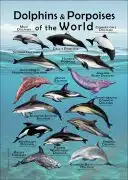 Dolphins and Porpoises of the World poster