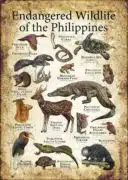 Endangered Wildlife of the Philippines poster