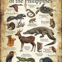 Endangered Wildlife of the Philippines poster