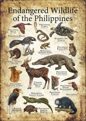 Endangered Wildlife of the Philippines poster