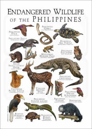 Endangered Wildlife of the Philippines poster