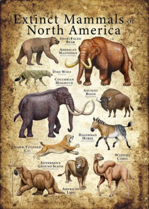 Extinct Mammals of North America