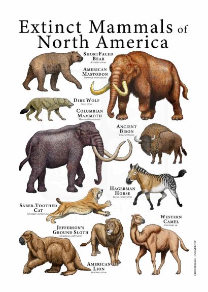 Extinct Mammals of North America