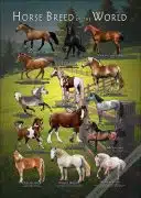 Horses Breeds of the World Poster