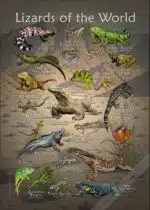 Lizards of the World poster