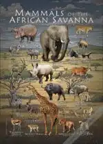Mammals of the African Savanna poster