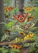 Moths of the World poster