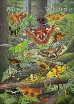 Moths of the World poster