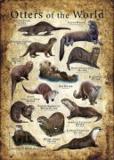 Otters of the World Poster print