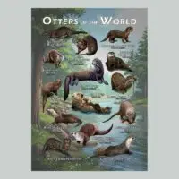 Otters of the World Poster print