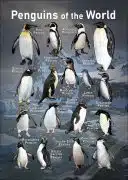 Penguins of the World poster