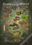 Snakes of the World poster