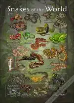Snakes of the World poster