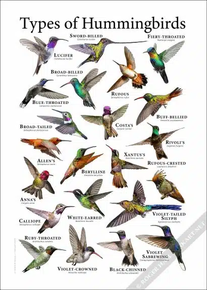 Posters