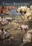 Rhinos of the World Poster