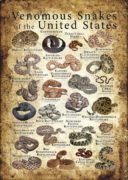 Venomous Snakes of United States poster