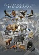 Wildlife of the Himalaya Mountains poster