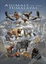 Wildlife of the Himalaya Mountains poster