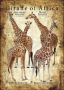 Giraffe poster