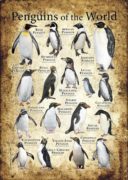 Penguin Poster