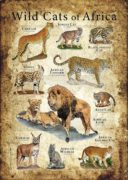 Wild Cats of Africa poster