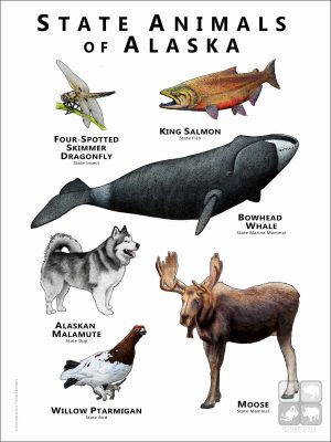 Alaska State Animals poster