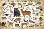 Mammals of Arkansas poster