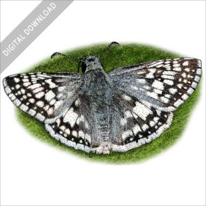 Common Checkered Skipper stock image