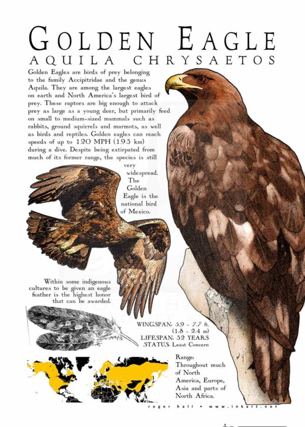 Golden Eagle poster