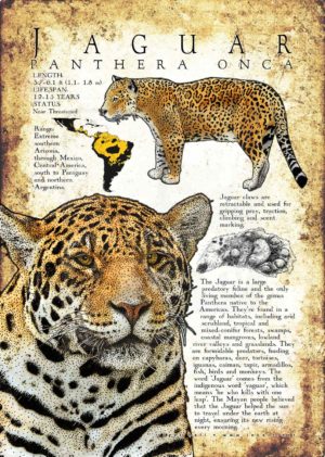 Jaguar poster